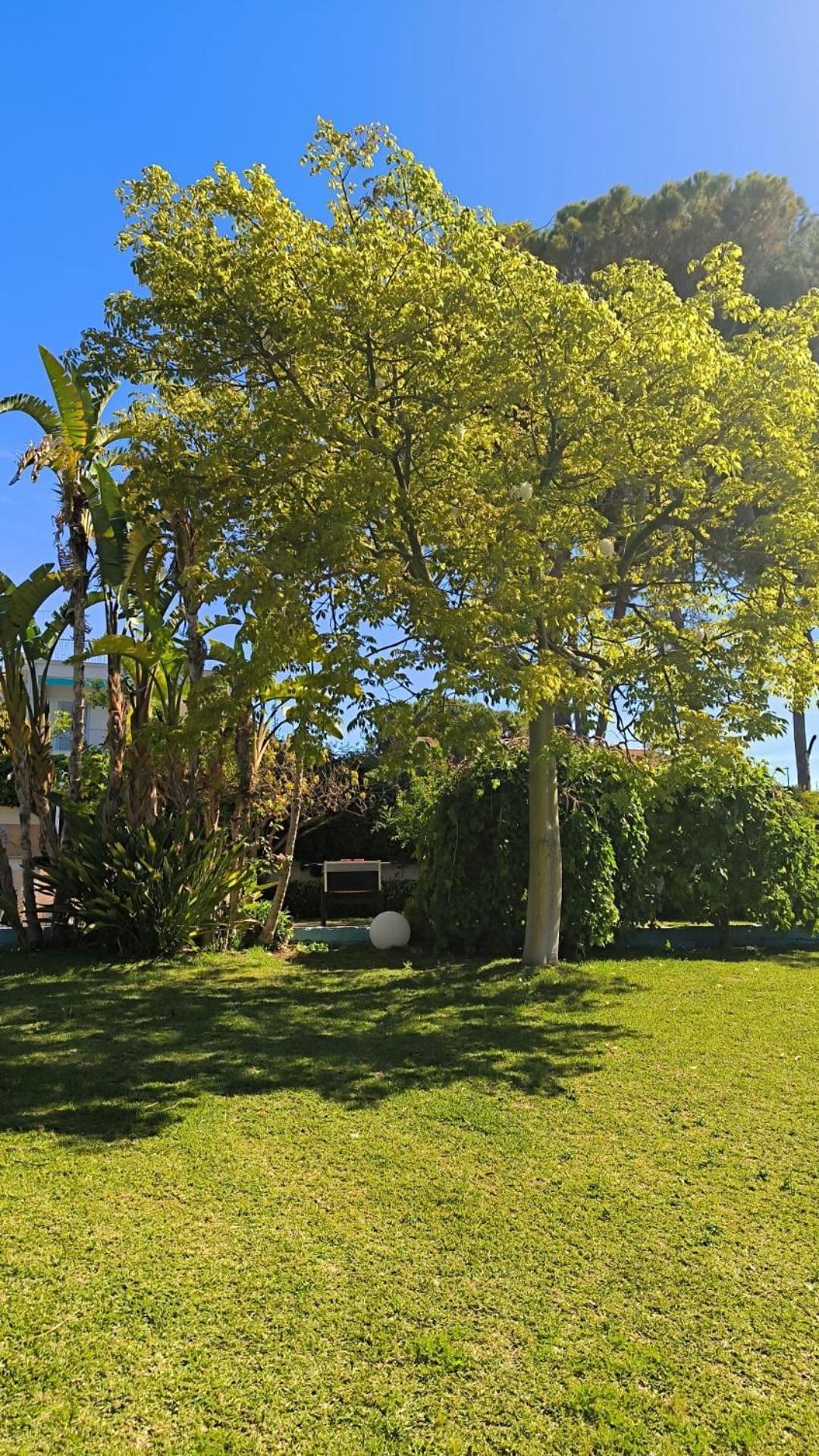 Small Luxury Apartments Pool And Sea View - Stella Del Mare フォンターネ・ビアンケ エクステリア 写真